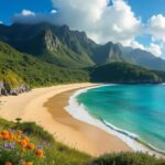 explorez golden bay, un véritable paradis naturel en nouvelle-zélande, avec ses paysages à couper le souffle, sa faune unique et ses activités en plein air pour tous les goûts.